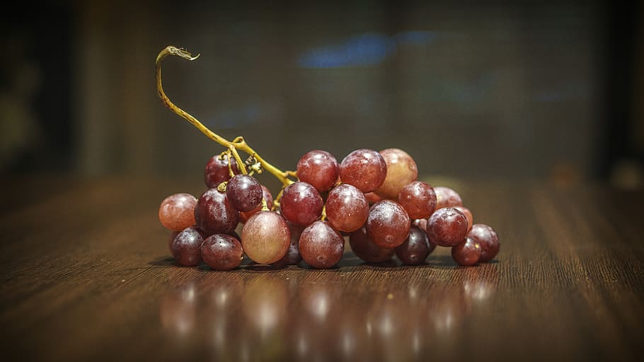 grape, fruit, vine, wine, vineyard, food, delicious, agriculture HD wallpaper
