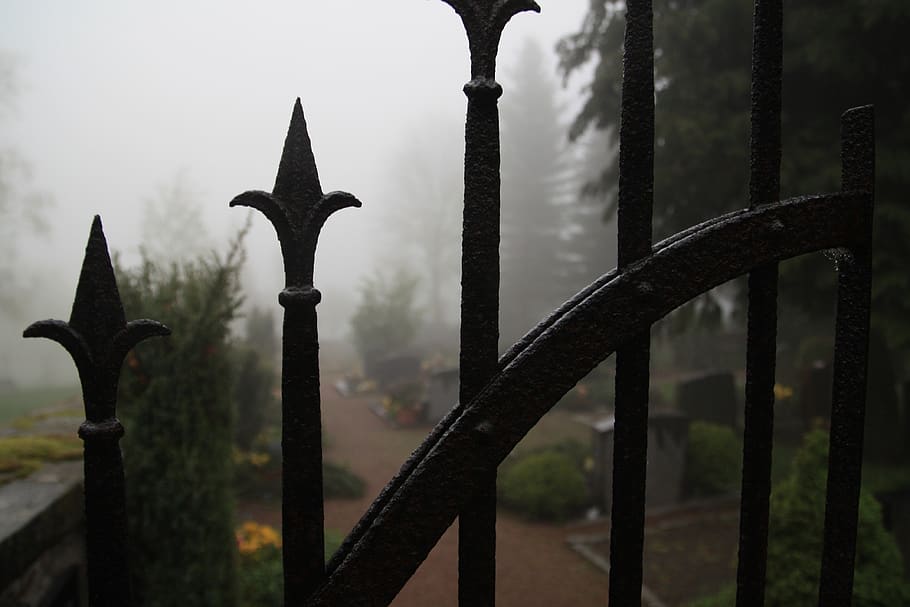 cemetery, fog, iron gate, goal, spooky, creepy, fear, weird