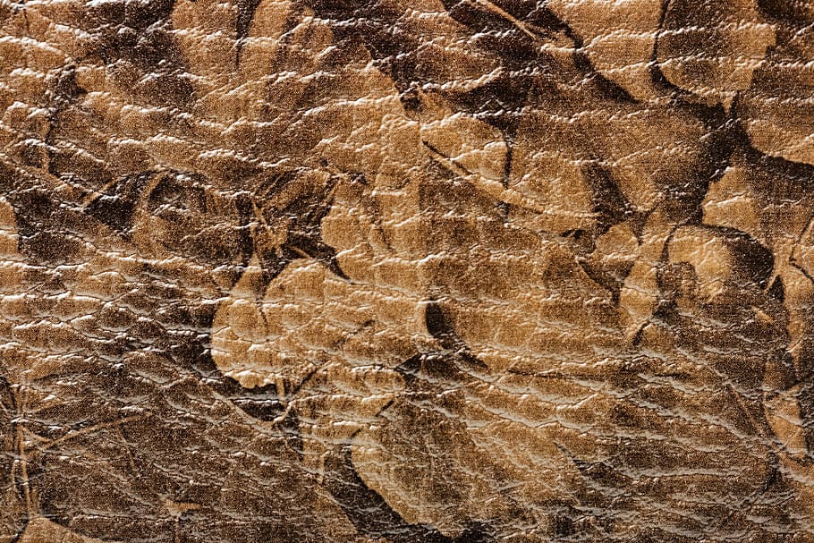 con2011, backdrop, background, full frame, backgrounds, brown HD wallpaper