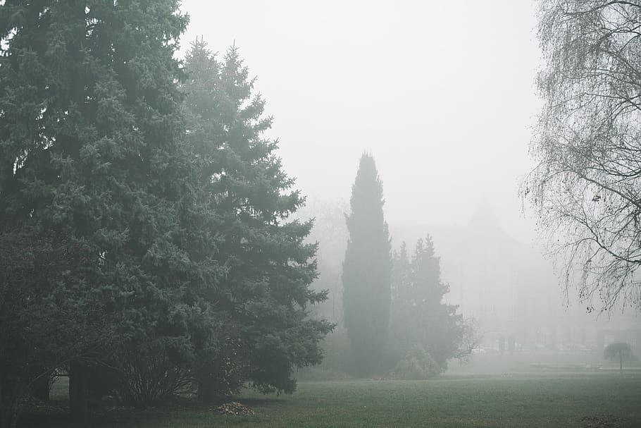 air, authentic, buildings, comunication, escape, fog, fresh HD wallpaper