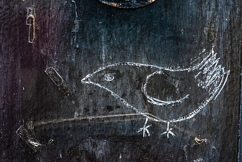 white bird sketch, blackboard, painting, art, texture, vogel HD wallpaper