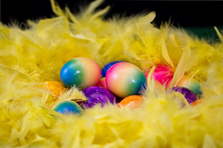 easter egg, colored, feather, colorful, colorful eggs, happy easter HD wallpaper