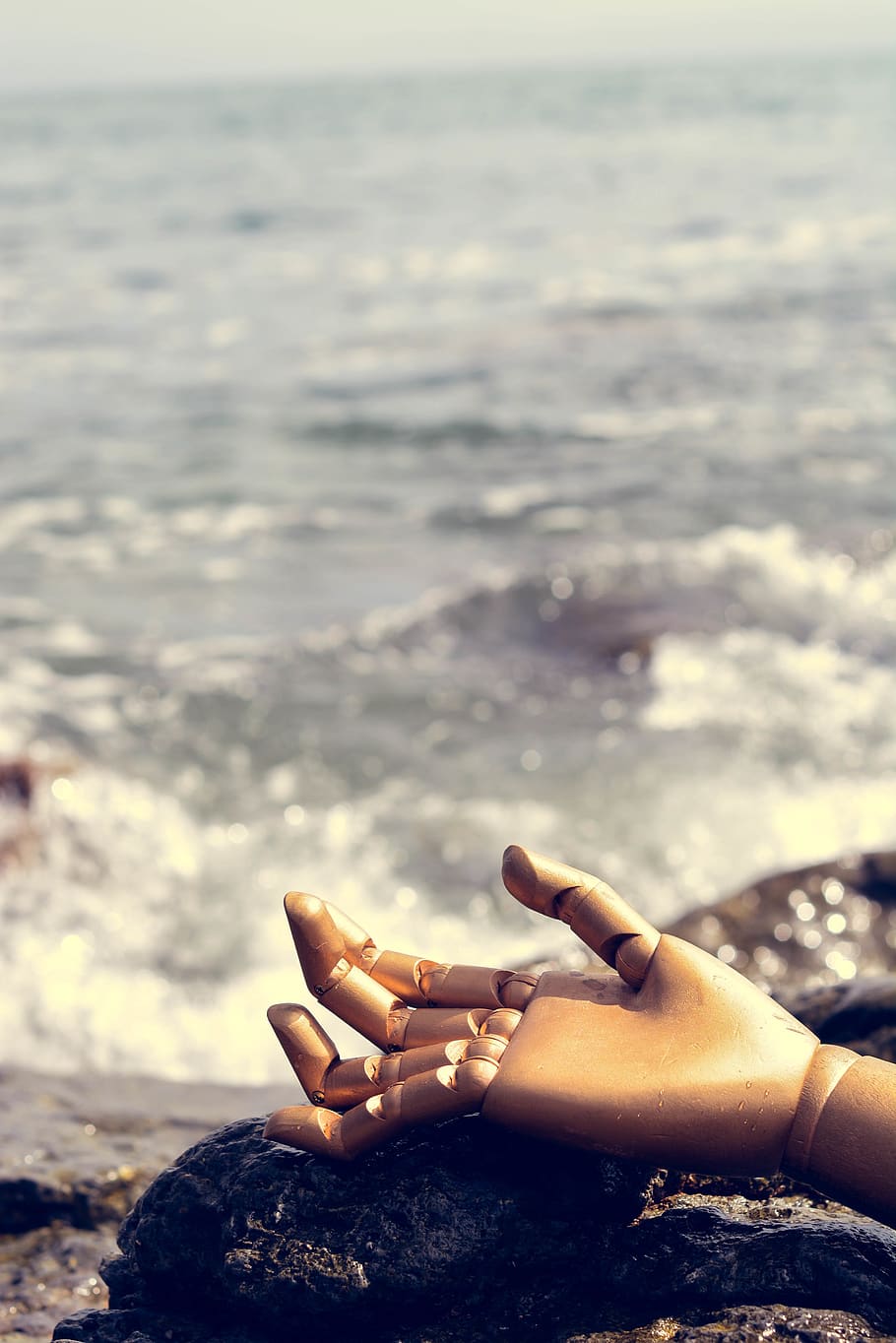 mexico, ensenada, hand, beach, wood, human body part, human hand HD wallpaper