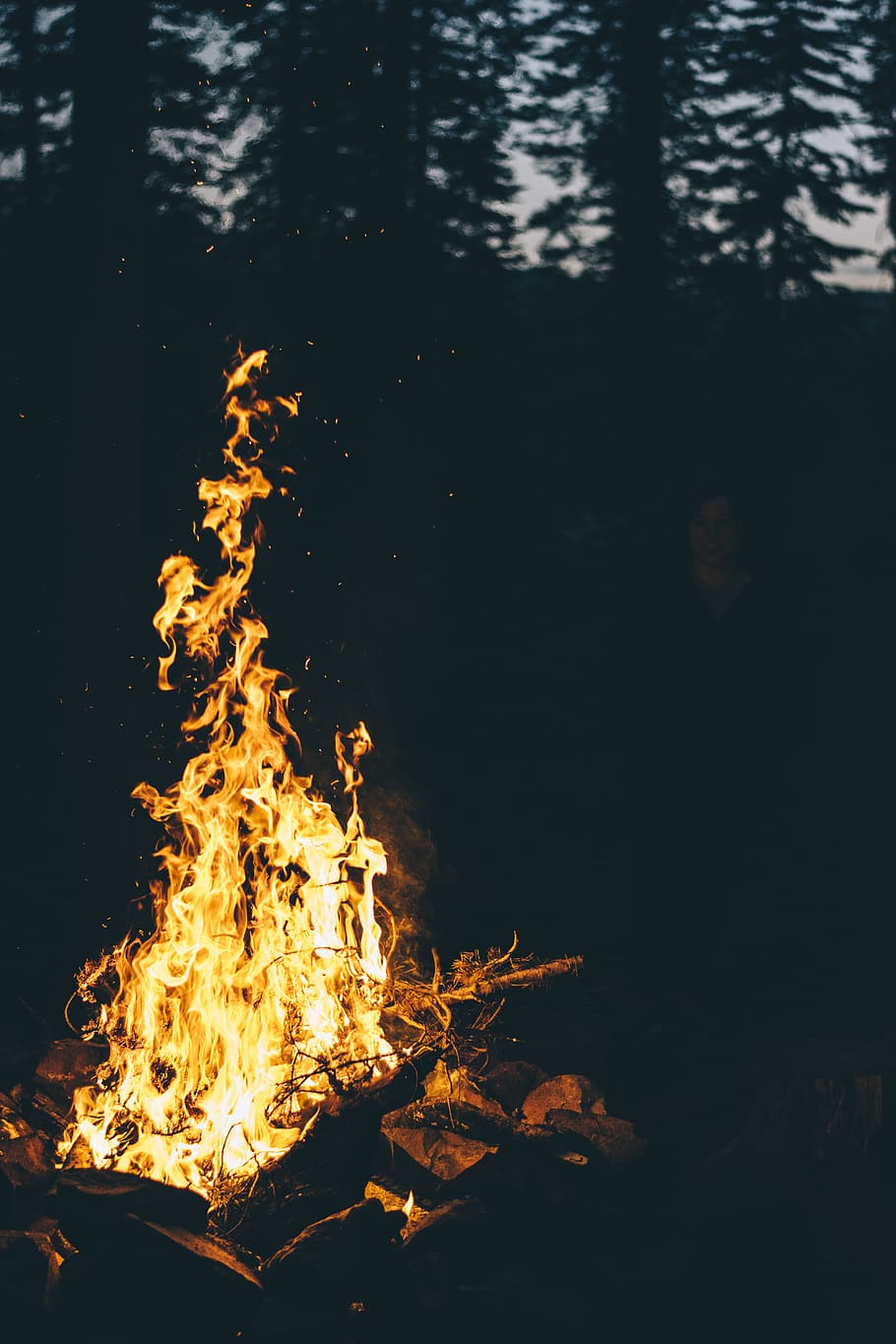 lit bonfire during night, burning, flame, fire - natural phenomenon HD wallpaper