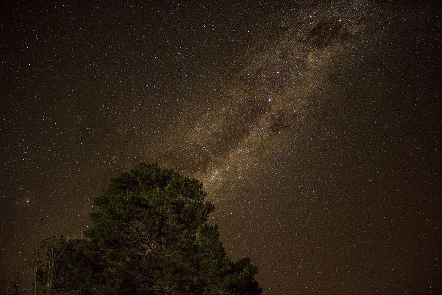 Scenic View of Night Sky, astronomy, constellation, dust, evening HD wallpaper