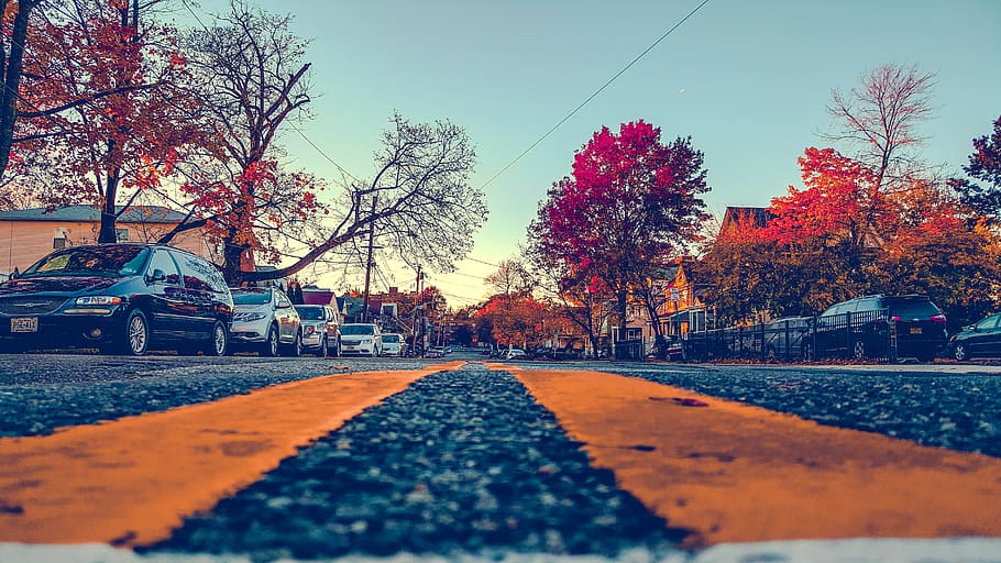 united states, hackensack, tree, plant, transportation, nature HD wallpaper