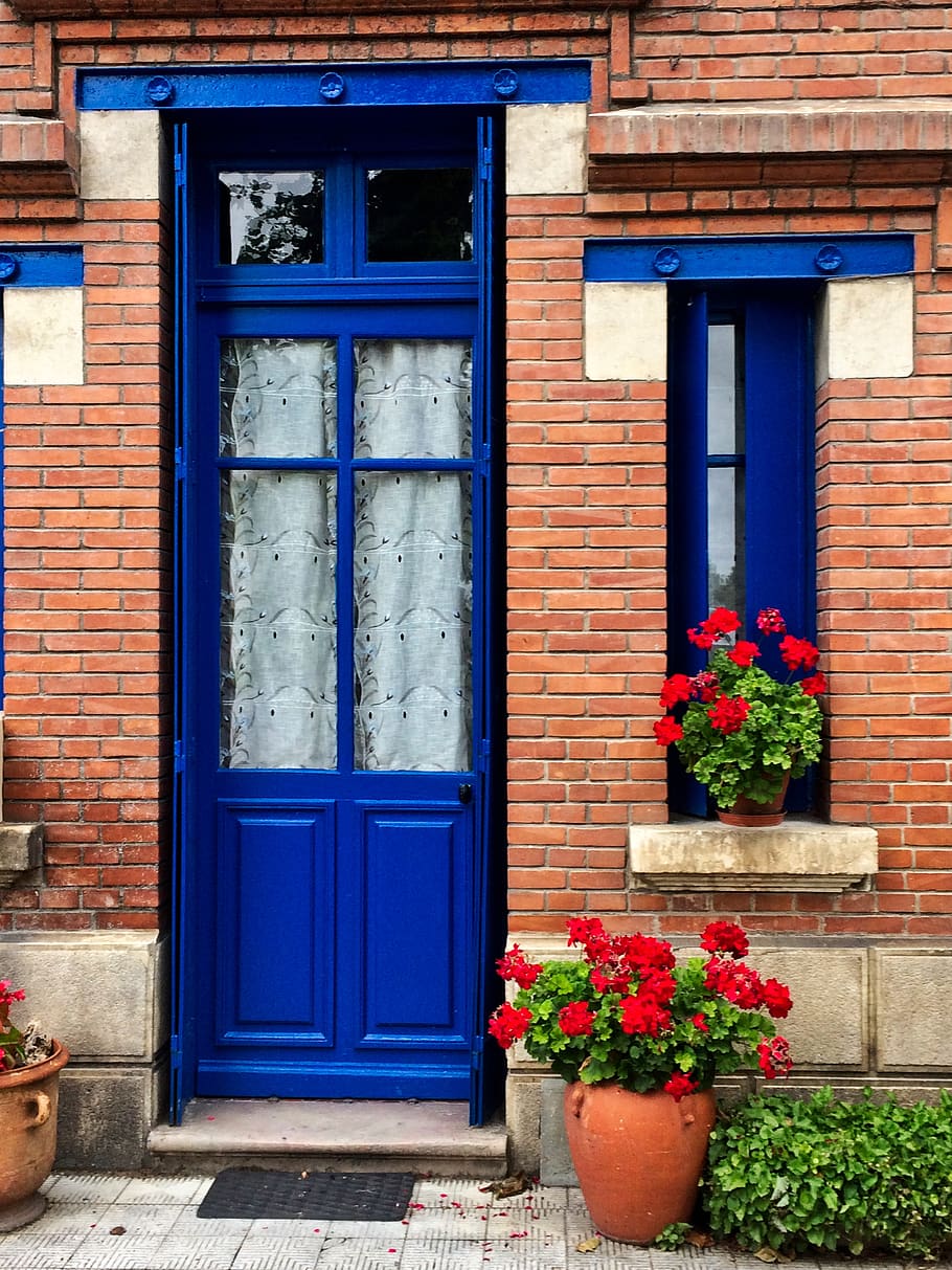 door, window, brick, plant, home decor, blossom, flower, geranium HD wallpaper