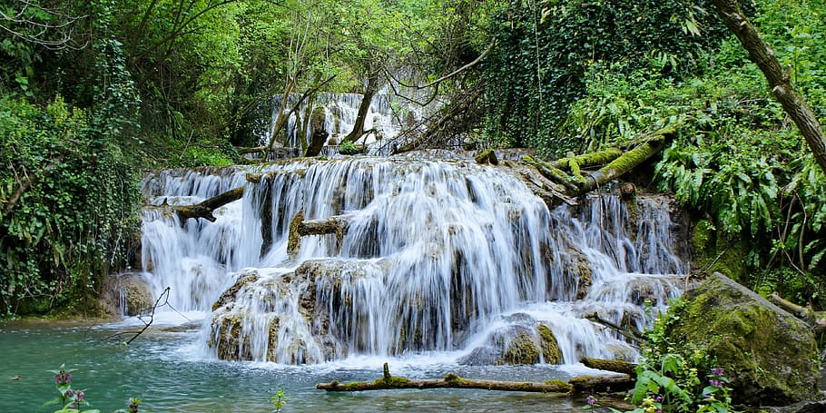 waterfall, forest, nature, tree, beauty in nature, plant, scenics - nature HD wallpaper