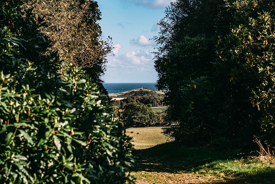 Photo of the Ocean in between Green Bushes, clouds, daylight HD wallpaper