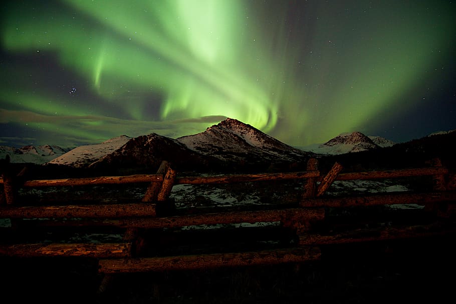 Aurora Borealis illustration, beauty in nature, night, sky, green color HD wallpaper