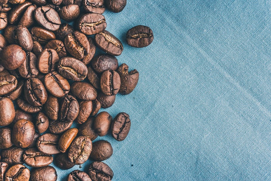 Brown Coffee Beans, aroma, aromatic, blue background, caffeine HD wallpaper