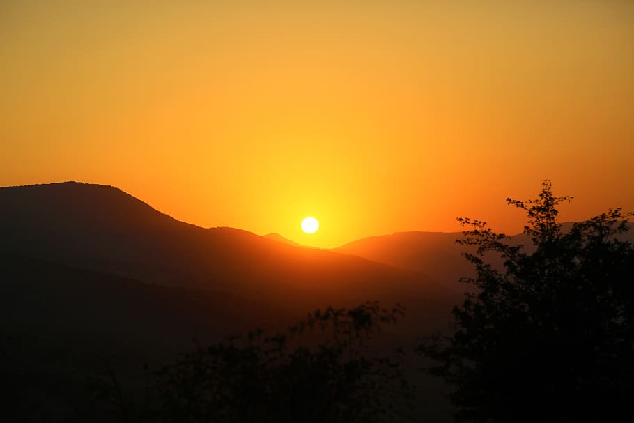 sunset, nature, forest, landscape, sky, in the evening, summer HD wallpaper