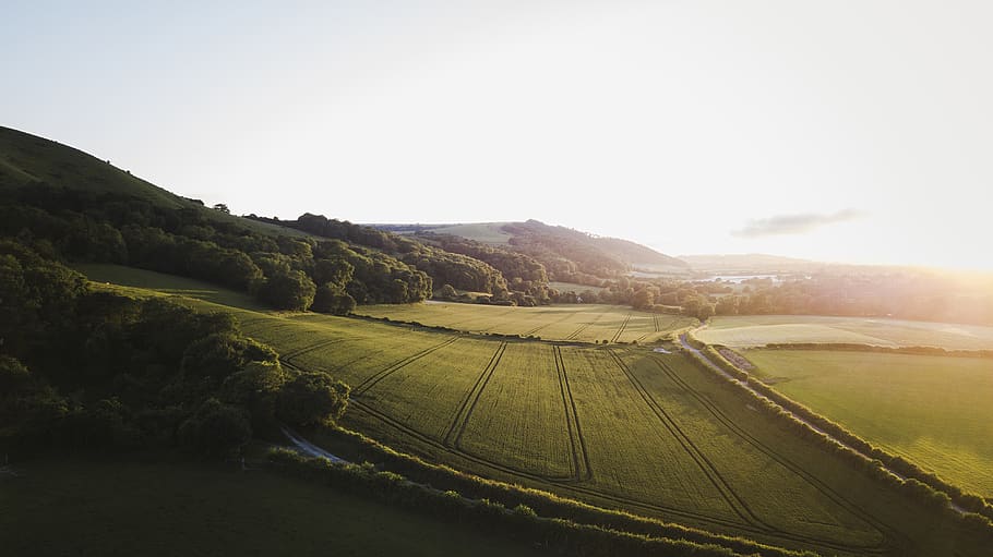 green grass field, sky, landscape, environment, tranquility, nature HD wallpaper