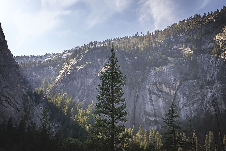 vernal falls, united states, trees, yosemite, mountains, forest