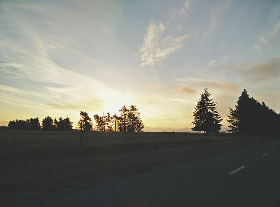 trees, sunset, sky, cloud - sky, tranquility, tranquil scene HD wallpaper