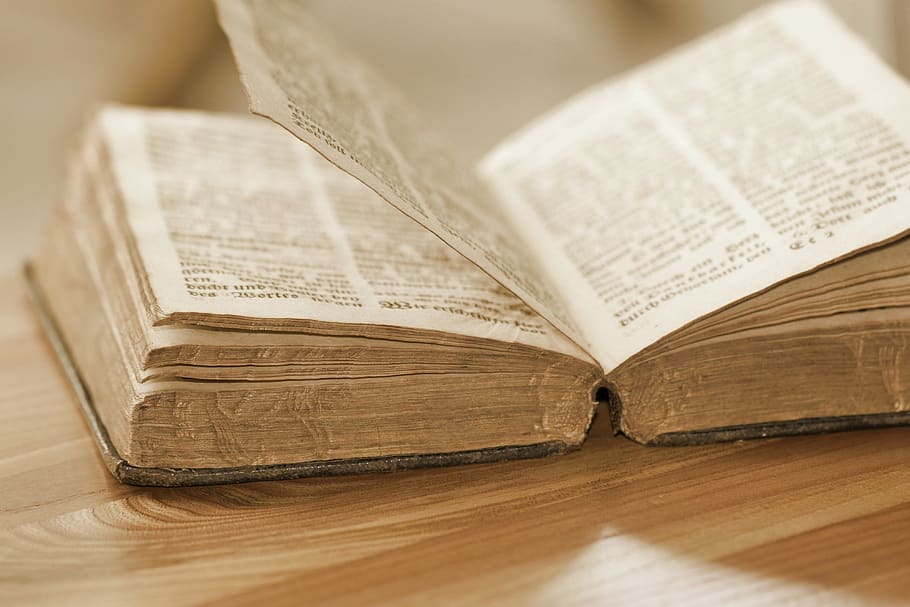 An Opened Old Book, knowledge, pages, read, publication, paper HD wallpaper
