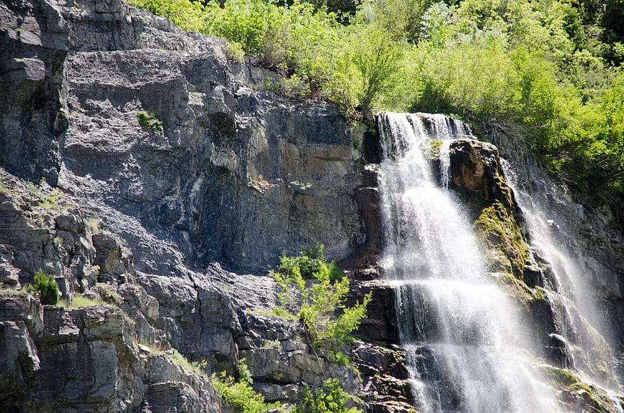 waterfall, forest, cliff, rock, rock - object, solid, beauty in nature HD wallpaper