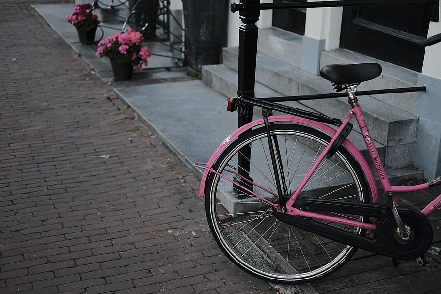 netherlands, amsterdam, transportation, mode of transportation HD wallpaper
