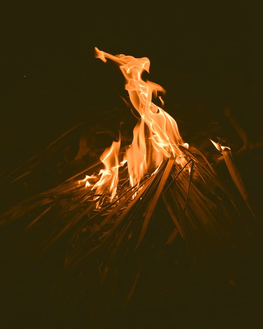 bonfire during night, wood, flame, timber, campfire, outdoors HD wallpaper