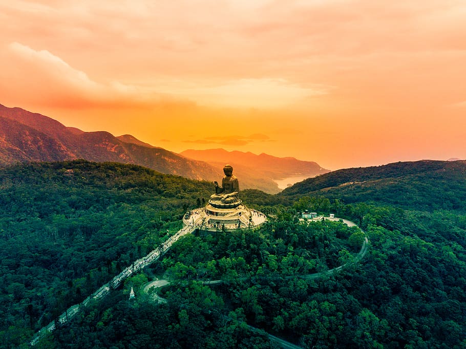 sitting budha statue on temple at the center of forest, worship, HD wallpaper
