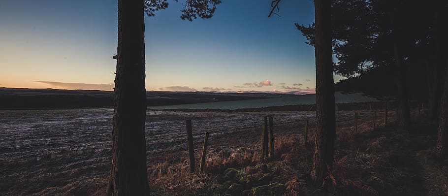 mountains, snow, trees, fields, lake district, winter, cold HD wallpaper