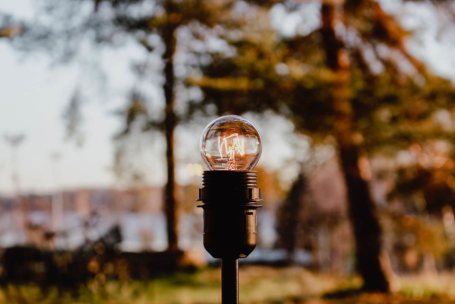 black lamp post near tree, focus on foreground, plant, nature HD wallpaper