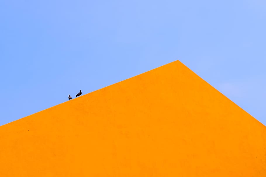 Two Black Birds, artistic, artwork, blue, canvas, close-up, colors HD wallpaper