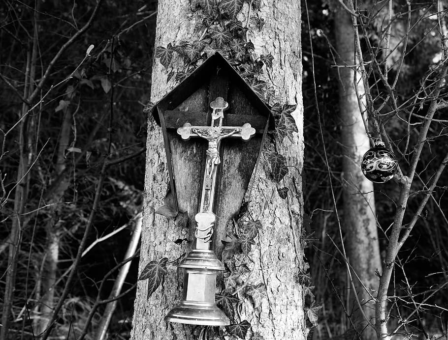 cross, symbol, plant, tree, crucifix, nature, cemetery, death, HD wallpaper