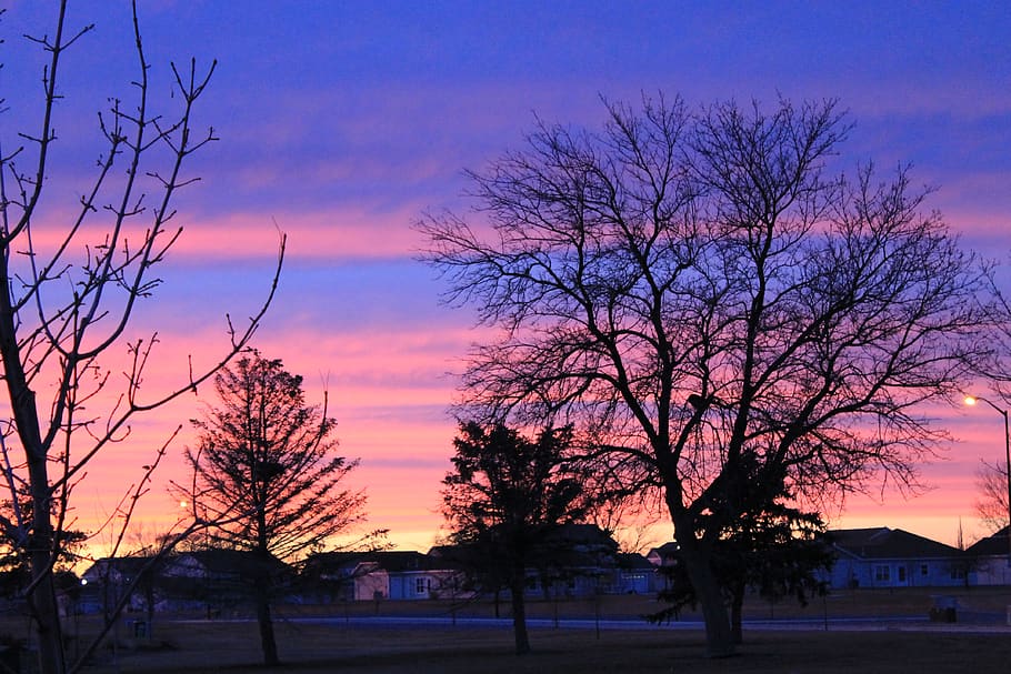 sunset, sky, tree, outline, plant, architecture, bare tree HD wallpaper