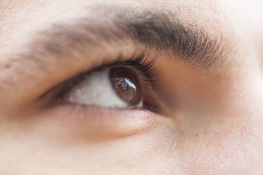 eye, macro, overview, browse, eyelash, male, close, brown, skin HD wallpaper