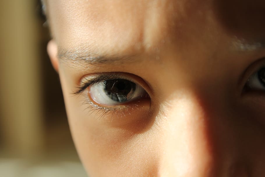 Close-Up Photo of Kid's Eye, blur, boy, child, eyebrow, eyelashes HD wallpaper