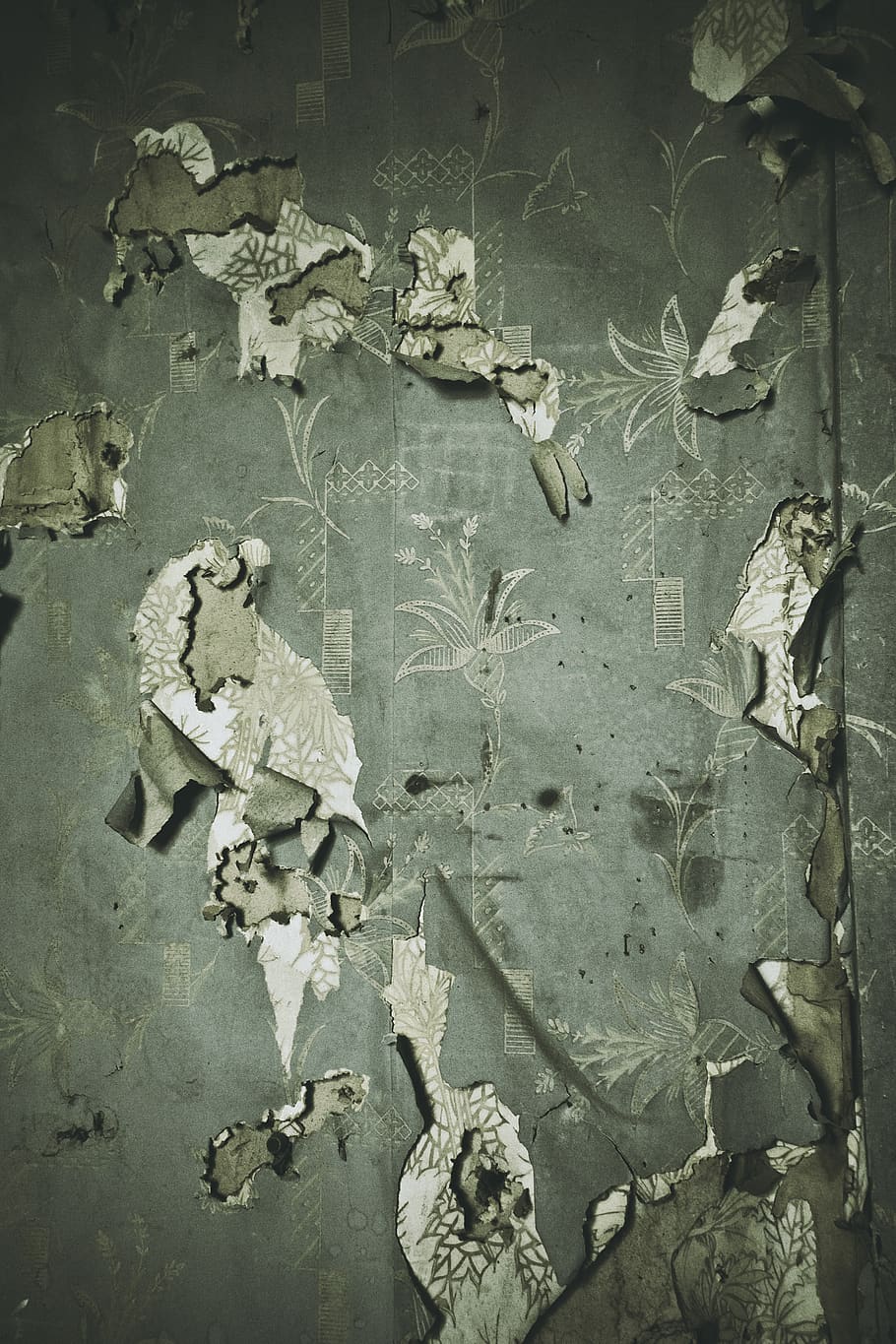 wallpaper, ripped, texture, vintage, old, flower, pattern, torn