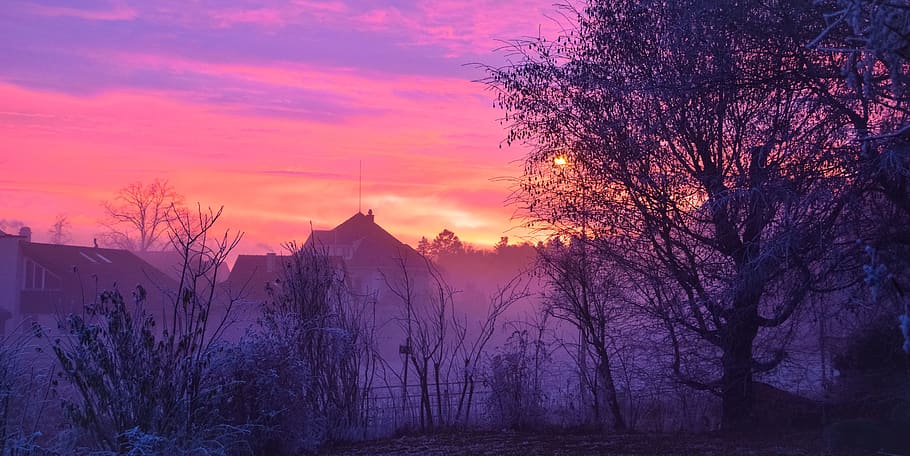 sunset, trees, colors, mist, winter, twilight, village, sky HD wallpaper