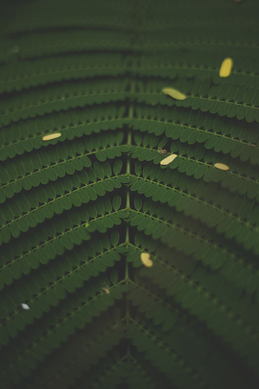 pattern, backgrounds, full frame, no people, indoors, selective focus HD wallpaper