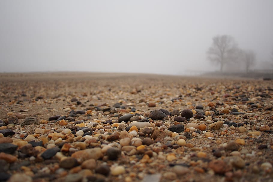 shore, beach, fog, trees, fall, rocks, pebble, no people, environment HD wallpaper