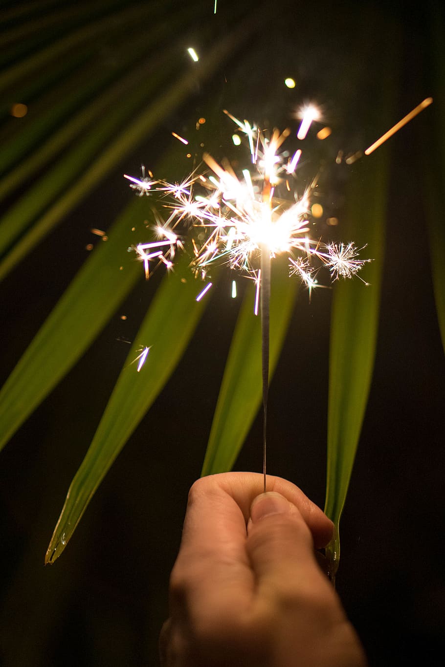 lighted sparkler, nature, outdoors, person, human, night, fireworks HD wallpaper