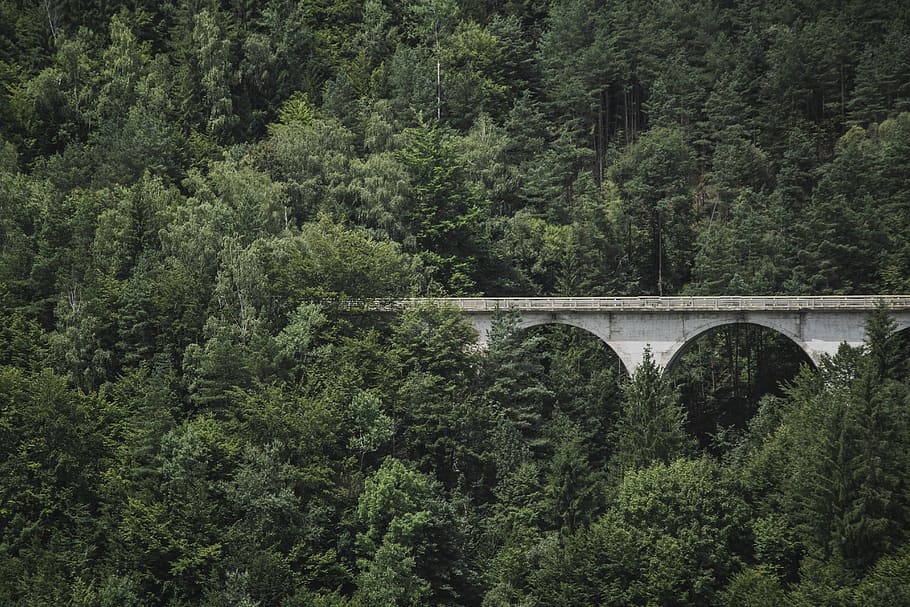 white and gray concrete bridge and trees, viaduct, building, forest