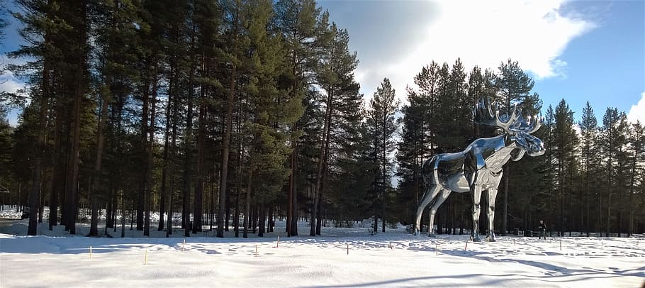 Silver Moose Statue Near Tree, clouds, cold, countryside, daylight HD wallpaper