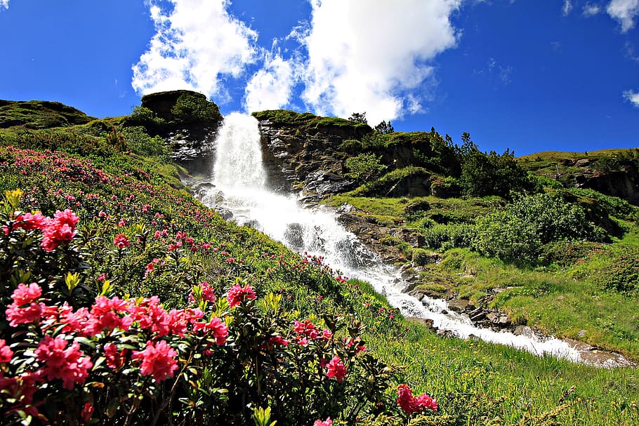 waterfall, alpine, nature, mountains, waters, stream, beauty in nature HD wallpaper