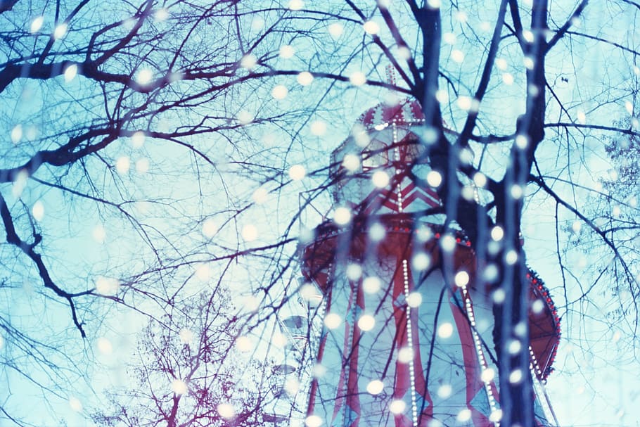 tree, plant, outdoors, ice, nature, urban, snow, city, building HD wallpaper
