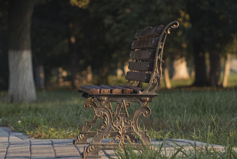 bench, park, forged, warm light, autumn, vacation, landscape HD wallpaper