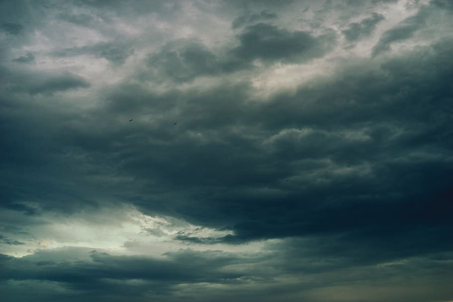 white and gray clouds, cloud - sky, storm, cloudscape, dramatic sky HD wallpaper