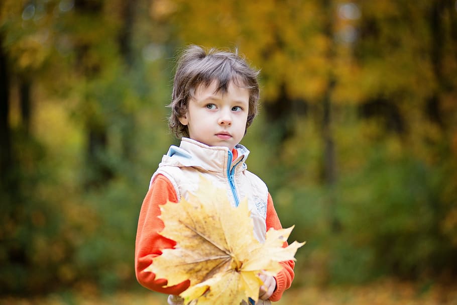 Boy Carrying Maple Leaf, blurred background, child, daylight HD wallpaper