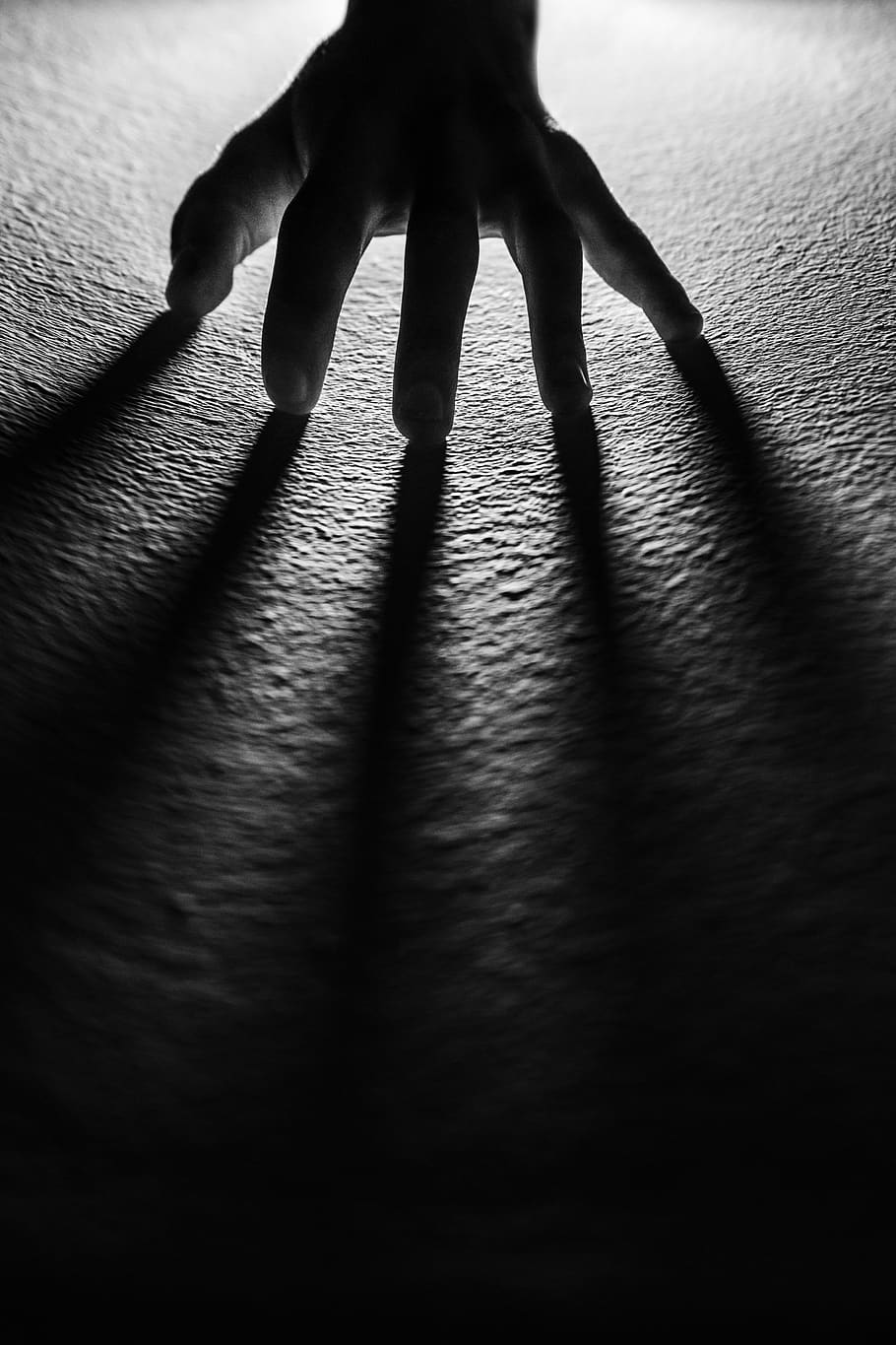 balck and white, hand, shadow, light, spider, human body part