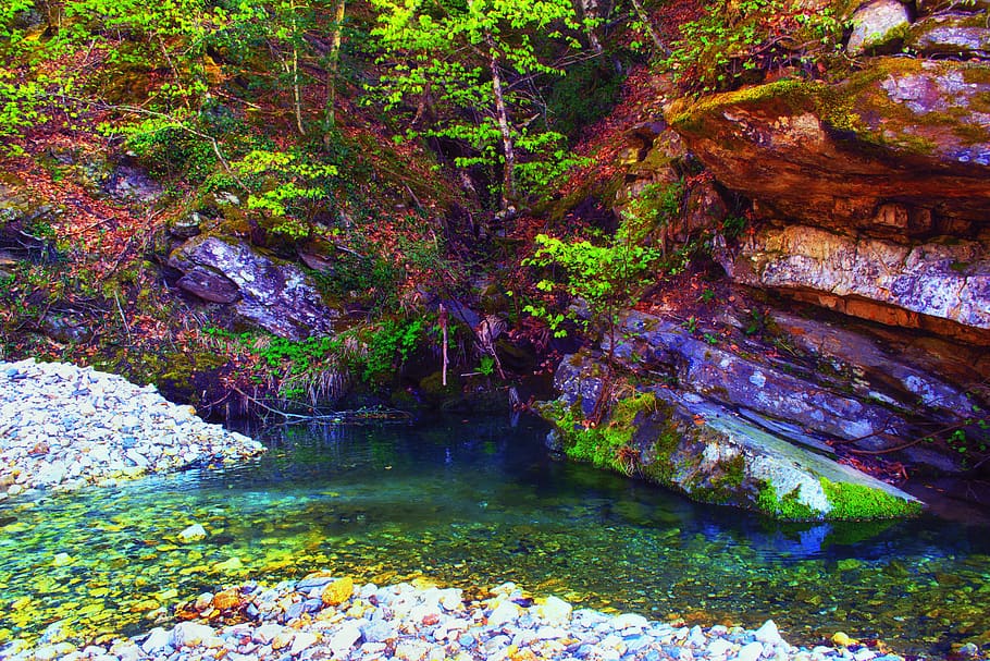 greece, varvara, nature, forest, trees, creek, water, rock HD wallpaper