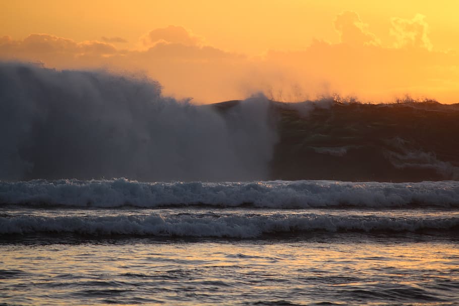 surf, wave, sea, ocean, beach, spray, water, beauty in nature HD wallpaper