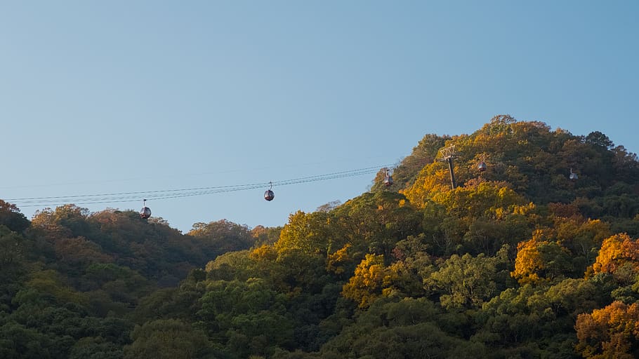 japan, kobe, ropeway, sunset, tree, plant, sky, cable, nature HD wallpaper