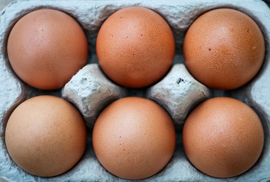 eggs, six, box, brown, exposed, food, food and drink, healthy eating HD wallpaper