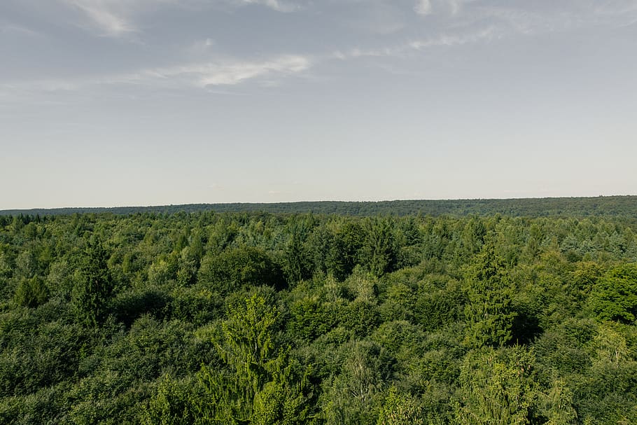 Aerial Photography of Green Trees, clouds, cropland, daylight HD wallpaper