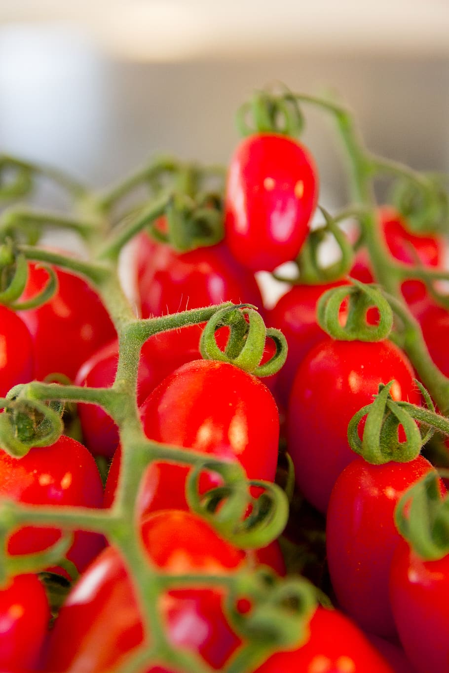 cherries, cherry tomatoes, farm, healthy, vegetable, food and drink HD wallpaper